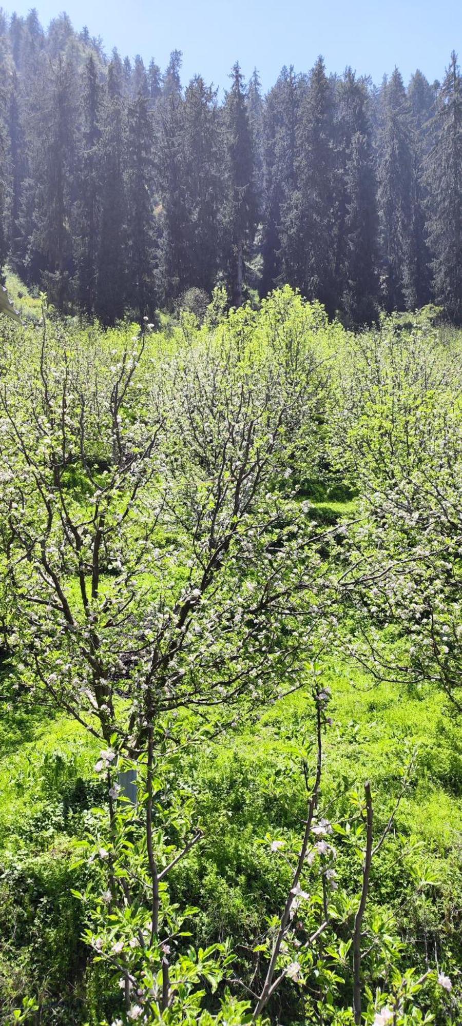Sukun Hostel Sainj Εξωτερικό φωτογραφία